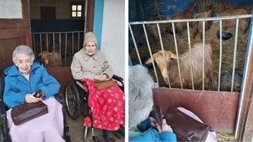 Fun at the farm for Sheffield care home Residents